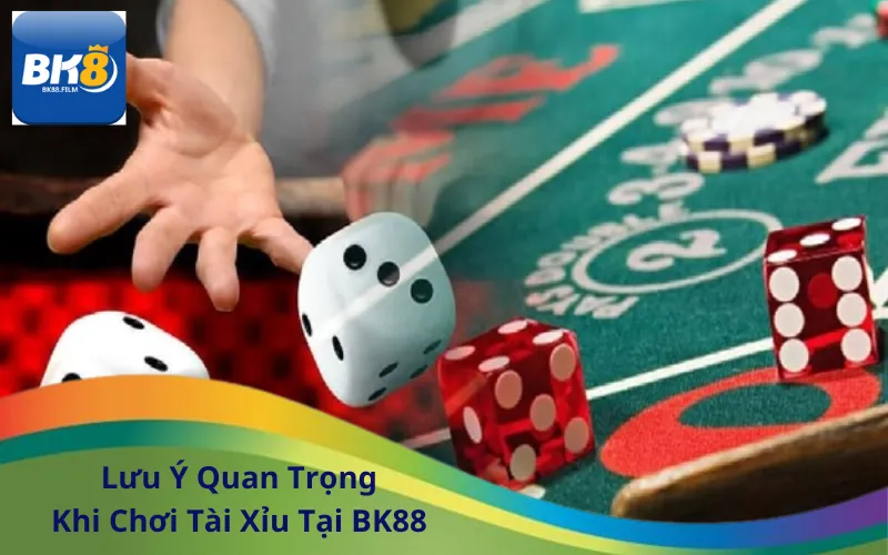 Lưu Ý Quan Trọng Khi Chơi Tài Xỉu Tại BK88